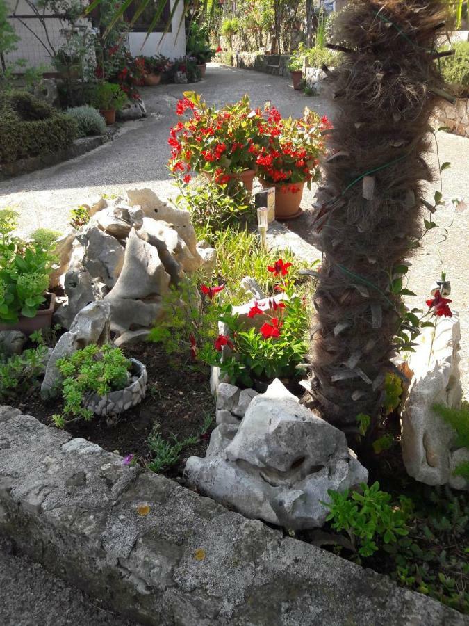Apartments Nadia Sokolic Nerezine Dış mekan fotoğraf