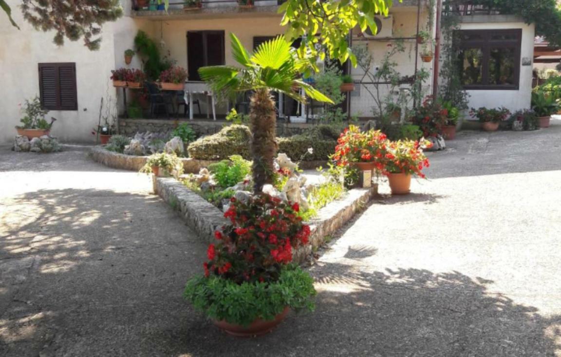 Apartments Nadia Sokolic Nerezine Dış mekan fotoğraf
